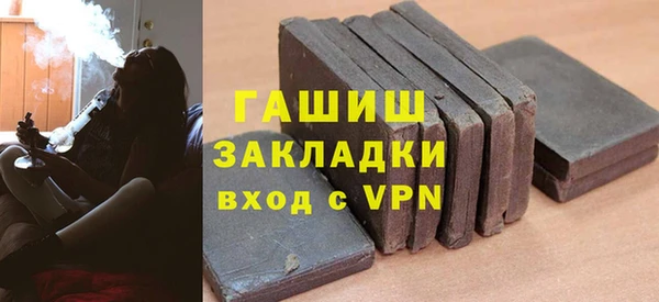 индика Арсеньев