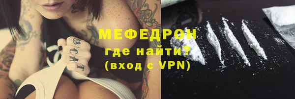 индика Арсеньев