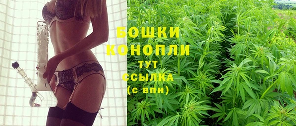 индика Арсеньев