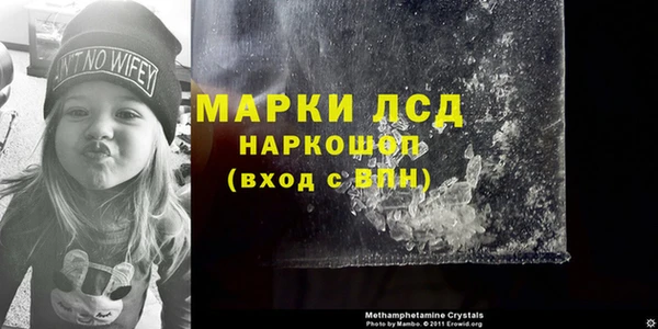винт Гатчина