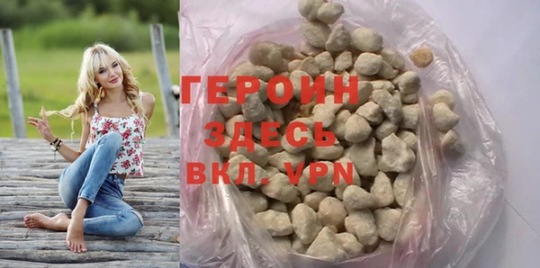 индика Арсеньев